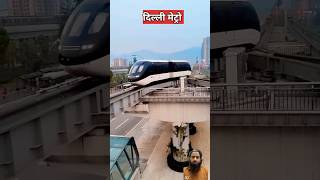 Delhi metro ki janakari shorts amazingfacts metro metrostation factsinhindi [upl. by Otho]