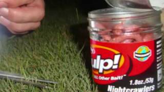 catfish night fishing gulp nightcrawler [upl. by Uba]