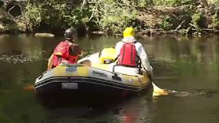 Battling Giant Hogweed on the River Findhorn [upl. by Gifford]