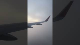 Journey Between Clouds shortsindia short airtravel singapore [upl. by Nairbo]