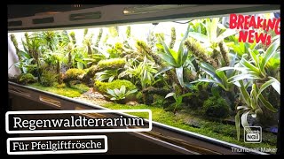 Regenwaldterrarium für Pfeilgiftfrösche Update [upl. by Bywaters]