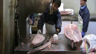 Tsukiji fish market tokyo  bandsaw cutting of Tuna from morning auction [upl. by Aninep]