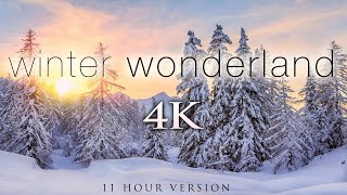 4K 11 Hours of Winter Wonderland  Calming Hang Drum Music for Relaxation Stress Relief UHD [upl. by Croner]