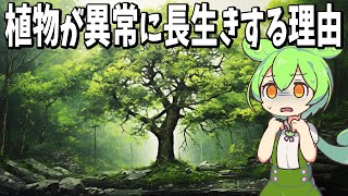 なぜ植物は動物に比べ異常に長生きするのか？【ずんだもん解説】 [upl. by Earej]