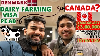 DAIRY FARMING VISA FULL INFORMATION  INTERNSHIP VISA DENMARK  PATHWAY TO CANADA  bixterwork7408 [upl. by Straus]