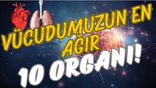 İnsan Vücudunun En Ağır 10 Organı ve Görevleri [upl. by Ycam]