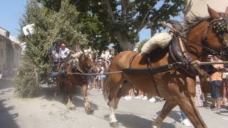 MAILLANE La SaintEloi 2023 – Course de la charrette [upl. by Rehotsirk]