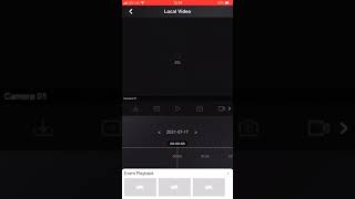 Hikvision Hik Connect App  Playback [upl. by Karl]