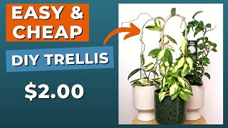 EASIEST Indoor Plant Trellis DIY StepbyStep Tutorial [upl. by Ahtanaram]