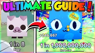 ULTIMATE GUIDE to PETS GO Roblox [upl. by Marybelle]