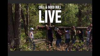 Cull amp Good Bull 2024 Preseason amp Chief Cut [upl. by Raeann]