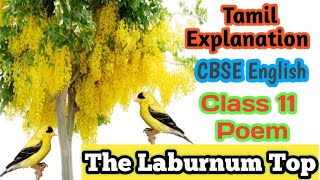 The Laburnum Top Class 11 English Poem 2 in தமிழ் [upl. by Cassell]