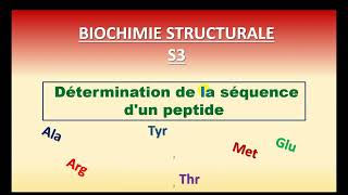 Biochimie Structurale  Détermination de la séquence dun peptide [upl. by Vere408]