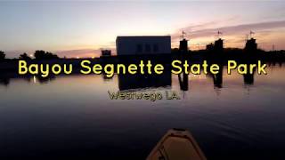 Bayou Segnette State Park [upl. by Naujak893]