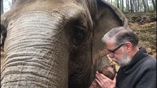 Elephant Reunites With Old Trainer [upl. by Yaker138]