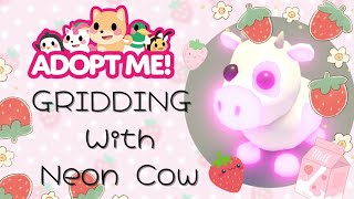 ♡ 🍰🌸 ⊹ → GRIDDING with a NEON COW 🐮🍓 in Adopt me and GIVEAWAY 🎀 [upl. by Renat]