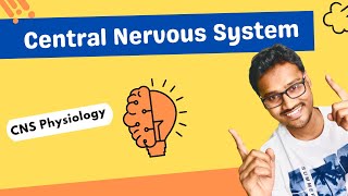 Introduction to Central Nervous System [upl. by Hadeehuat]