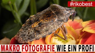 Makro Fotografie  So machst du FREIHÄNDIG SCHARFE Makro Fotos wie ein Profi  perfekte Ausleuchtung [upl. by Niowtna]