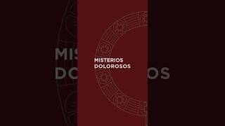 Misterios Dolorosos cantoamaria musica cantocatolico virgenmaria [upl. by Nibor]