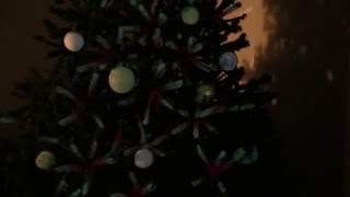 Christmas Tree Projection Mapping [upl. by Hannej347]