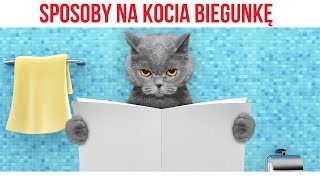 KOCIA BIEGUNKA JAK POMÓC LECZENIE OBJAWY SPOSOBY [upl. by Shaner]