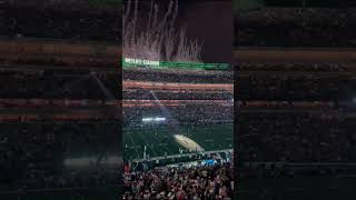 Experience the New York Jets Stadium  Metlife Stadium [upl. by Rehpotisrhc77]