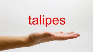 How to Pronounce talipes  American English [upl. by Malchy]