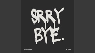 SRRY BYE [upl. by Avek]