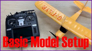 How to Set Up DSMX BNF Planes with the RadioMaster TX16S Tutorial [upl. by Andriana708]