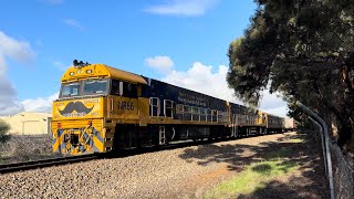 7MP7 with NR66 NR14 at Salisbury North 1372024 [upl. by Killian]