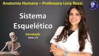 Anatomia Humana  Sistema Esquelético  Introdução 13 [upl. by Burn538]