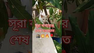 সূরা বাকারা🕋 shorts viralvideo quran allah surah foryou trending [upl. by Mcgill]