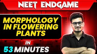 MORPHOLOGY OF FLOWERING PLANTS in 53 Minutes  NEET 2024 [upl. by Herrmann923]