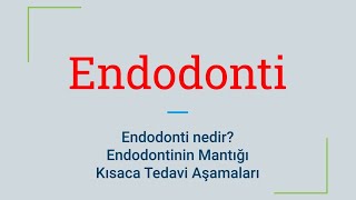 Endodonti Nedir MantığıTedavi Aşamaları  Endodonti Dersleri [upl. by Laurance372]