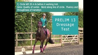 Learn The Prelim 13 2006 Dressage Test [upl. by Adnov]