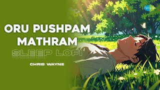 Oru Pushpam Mathram  Sleep Lofi  Pareeksha  MS Baburaj  KJ Yesudas  Chris Wayne [upl. by Bultman]