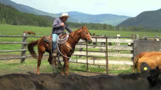 Arrow Valley Farm  Life in the Valley [upl. by Kinchen]