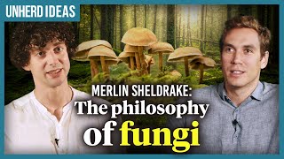 Merlin Sheldrake The philosophy of fungi [upl. by Ennairak]