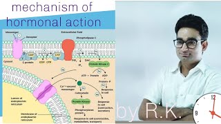 Mechanism of hormonal action  NCERT Based for NEET students [upl. by Annawad]