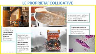 LE PROPRIETA COLLIGATIVE DI UNA SOLUZIONE [upl. by Nuahsar]