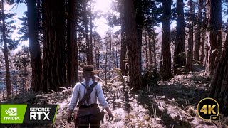 Red Dead Redemption 2 Fall 4K  Dynamic Seasonquotrdr2 rtx [upl. by Osgood]