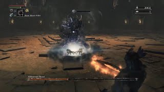 Bloodborne  Abhorrent Beast I BL4 No Damage No Poison Knives [upl. by Karlow]