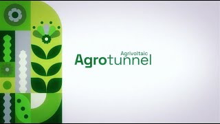 Agrivoltaic Agrotunnel Video August 26 2024 [upl. by Toffey]