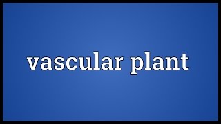 Vascular plant Meaning [upl. by Alrahs807]