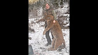 British Columbia cougar hunt  Puma jakt i BC  Jagd auf Puma in BC JR Hunting 2014 [upl. by Nner]