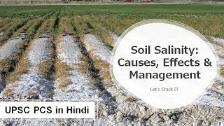 What is Soil Salinization Causes Impact Management Prevention of Saline soil  UPSC PCS in Hindi [upl. by Kcirdla]