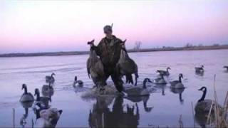 Duck and Goose hunting Hilights [upl. by Sheba]