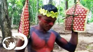 The SateréMawé Tribe Subject Themselves To Over 120 Bullet Ant Stings  Wildest Latin America [upl. by Ongineb]