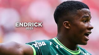 Endrick is Sensational in 2023 🇧🇷 [upl. by Raimondo]