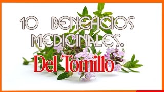 10 Beneficios Medicinales Del Tomillo [upl. by Navlys]